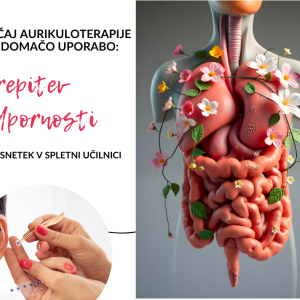 tečaj aurikuloterapije bodibalans naturopatija nova gorica