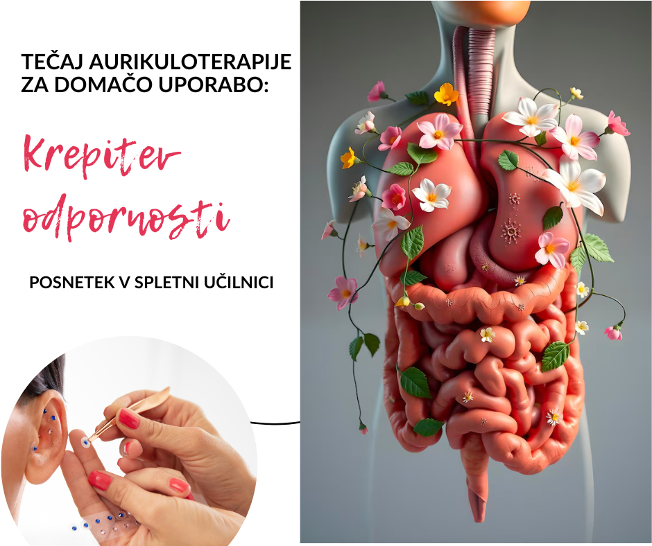 tečaj aurikuloterapije bodibalans naturopatija nova gorica