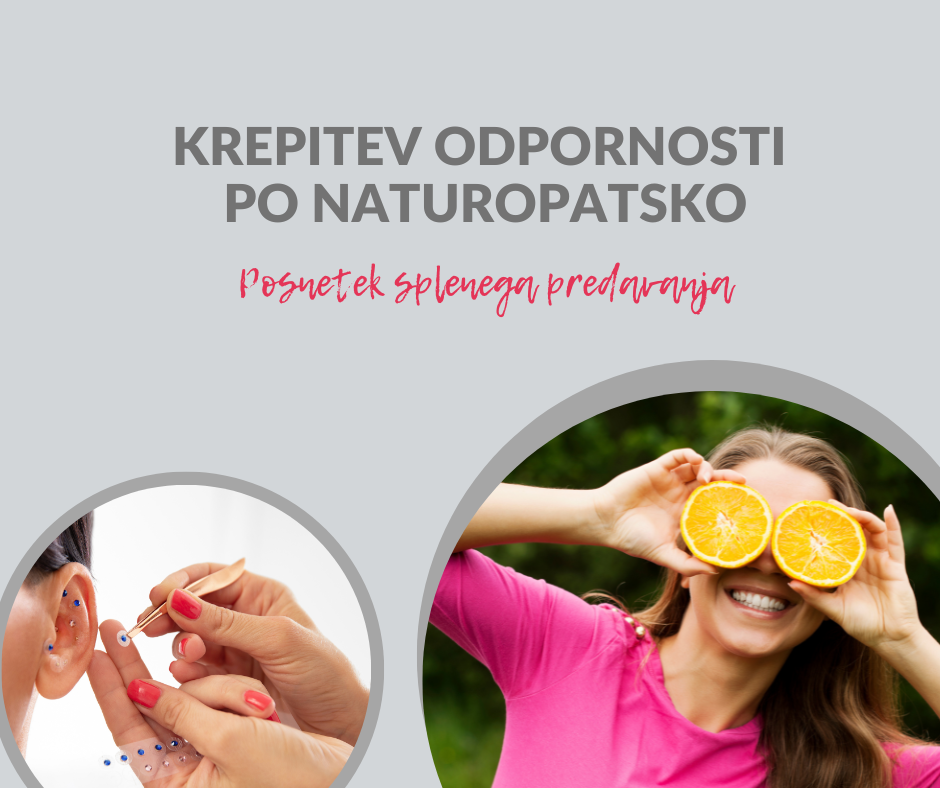 naturopatija, aurikuloterapija, tečaji aurikuloterapije, bodibalans, nova gorica